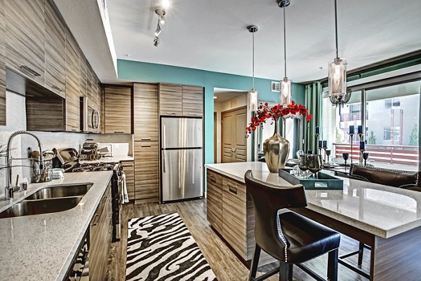 Modern kitchen with state-of-the-art appliances at Constellation Apartments, a luxury Greystar property