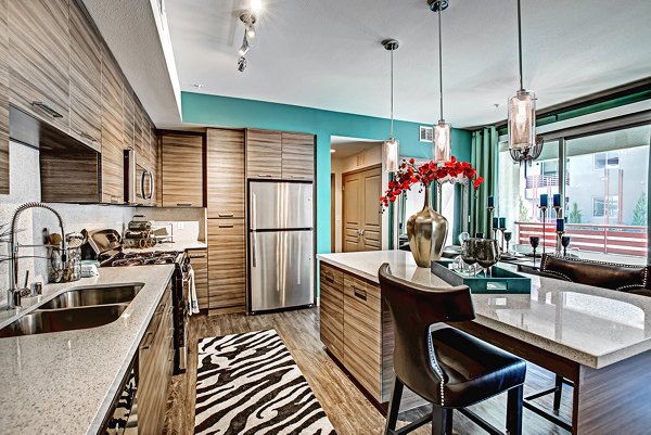 Stylish kitchen with modern appliances in Constellation Apartments