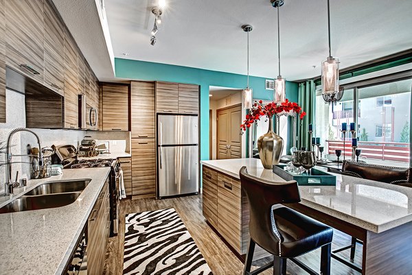 kitchen at Constellation Apartments