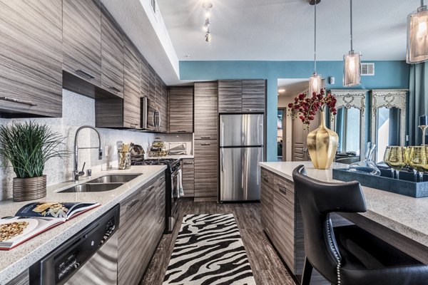 Modern kitchen with sleek countertops and stainless steel appliances in Constellation Apartments
