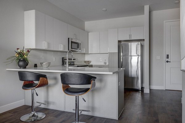 Modern kitchen with stainless steel appliances in Bowers Apartments, Greystar luxury community