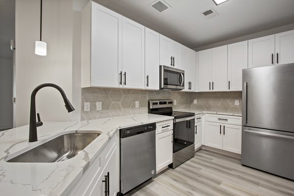 Modern kitchen with stainless steel appliances and granite countertops in Adara at Godley Station Apartments