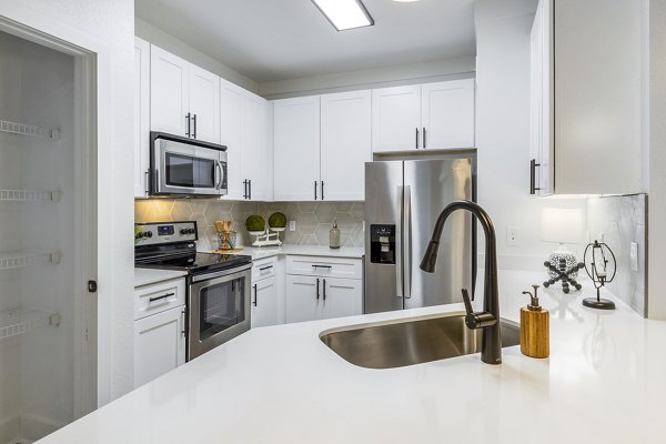 Modern kitchen with stainless steel appliances at The Avenues at Verdier Pointe Apartments