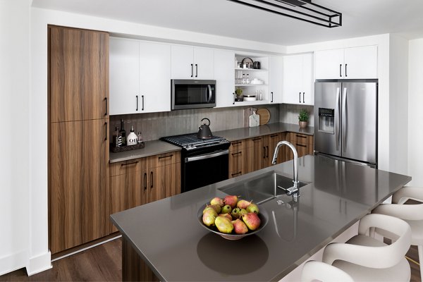 Modern kitchen with stainless steel appliances and granite countertops at Nomia Apartments luxury living space