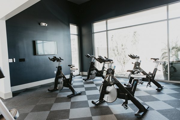Modern fitness center with state-of-the-art equipment at Tanager Apartments luxury community