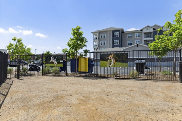 Expansive dog park at Talus Flats Apartments offering pet-friendly amenities and open space for residents' dogs to play and socialize