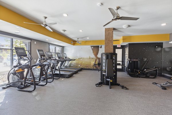 fitness center at The Zeb Apartments