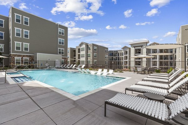 Rooftop pool with city views at The Zeb Apartments, a luxury Greystar community