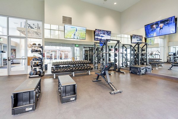 fitness center at Vive on the Park Apartments