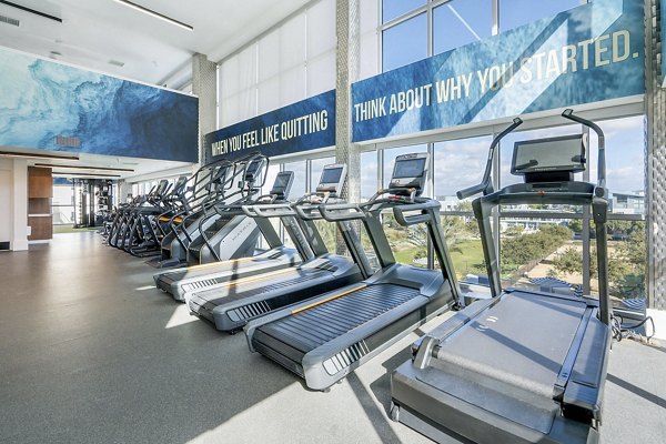 fitness center at Vive on the Park Apartments