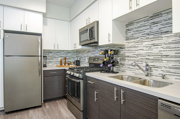 kitchen at Vive on the Park Apartments