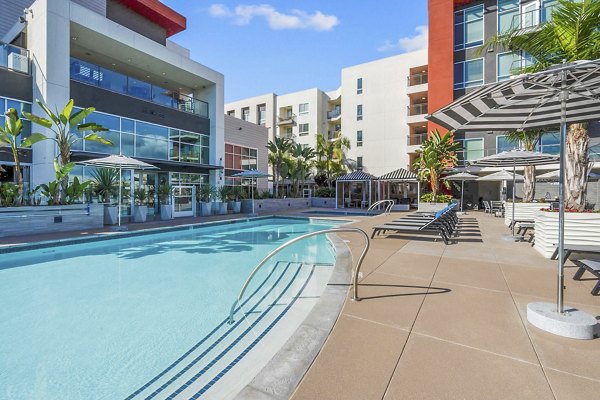 pool at Vive on the Park Apartments