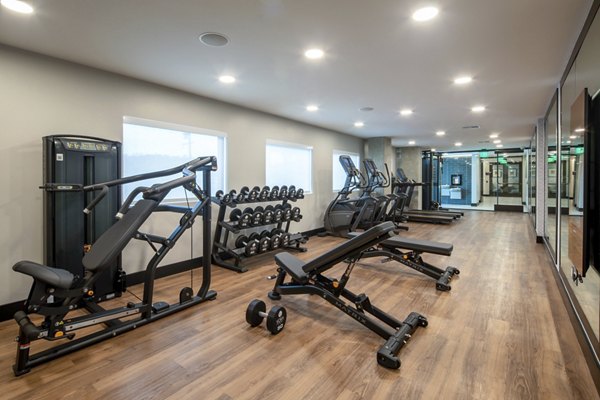 State-of-the-art fitness center with modern equipment at Vora Lux Apartments, offering luxurious living amenities