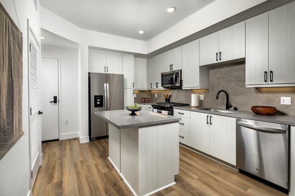 Vora Lux Apartments: Modern kitchen with stainless steel appliances and granite countertops, luxury living spaces for contemporary lifestyles