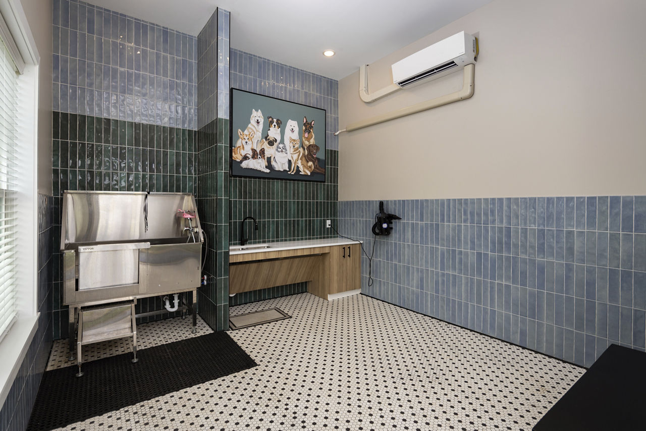 Pet wash at The Alexandria Apartments
