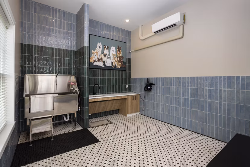 dog wash station at The Alexandria Apartments 