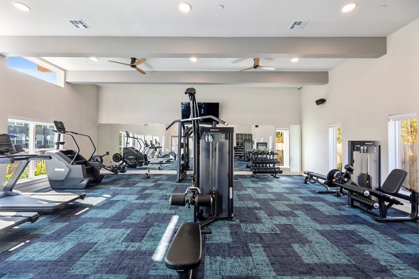State-of-the-art fitness center with modern equipment at Birchway Perry Road Apartments