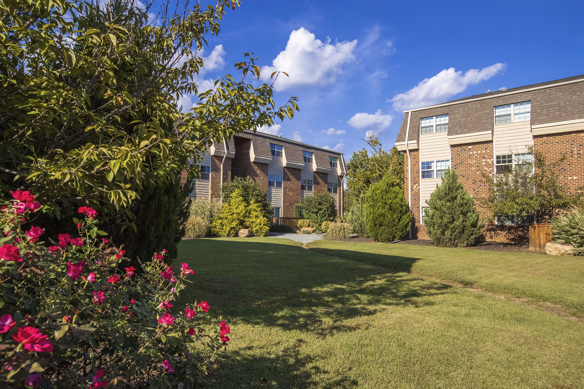 Collins Crossing Apartments: Elegant of luxury apartments in a serene, leafy neighborhood