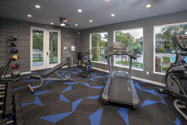 State-of-the-art fitness center with modern equipment at Collins Crossing Apartments