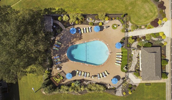Inviting pool area with lounge chairs at Collins Crossing Apartments, perfect for relaxation and leisure