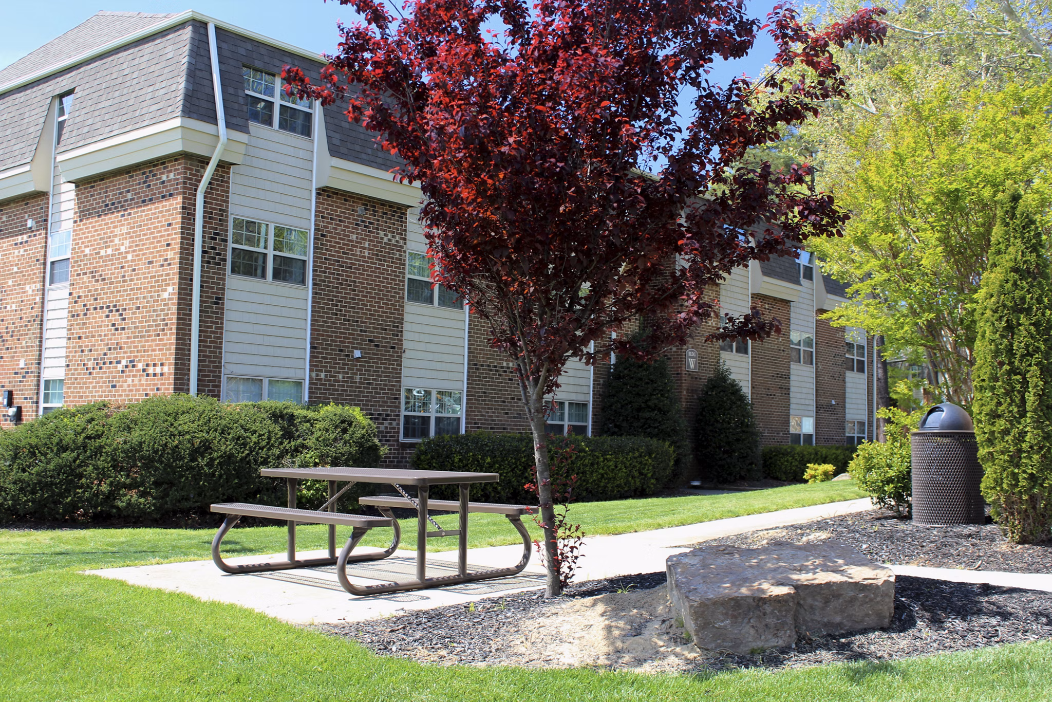 Picnic area with tables and grills at Collins Crossing Apartments, ideal for outdoor gatherings and relaxation in a serene environment
