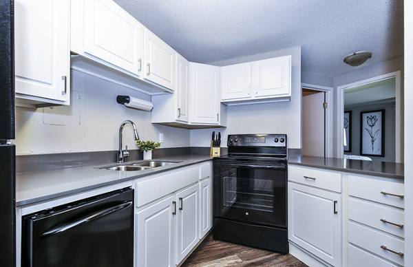 kitchen at 215 Oak Grove Apartments