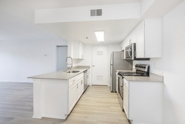 kitchen at The Landing Apartments