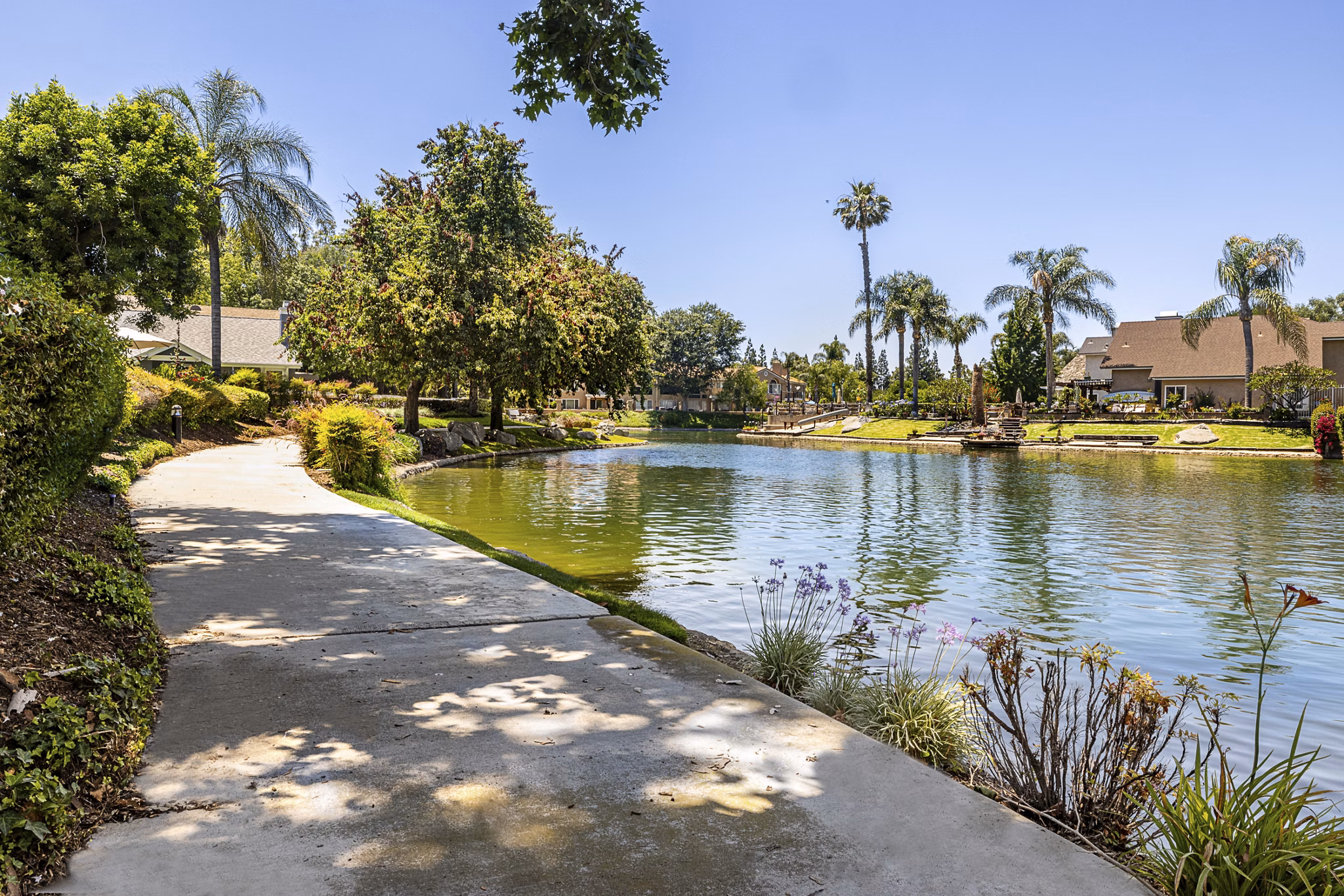 Tranquil courtyard with lush greenery at The Landing Apartments