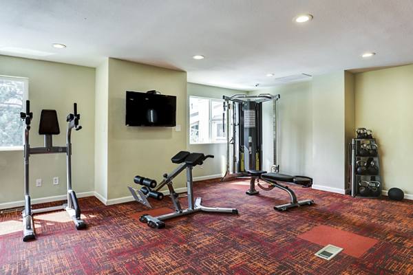 fitness center at Avery Park Apartments
