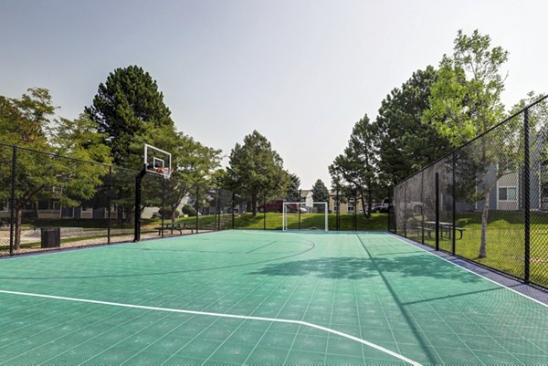 sport court at Avery Park Apartments