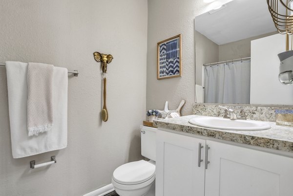 Bathroom featuring modern fixtures at Castilian Apartments in Austin, Texas