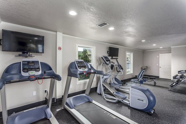 State-of-the-art fitness center with modern equipment at Castilian Apartments