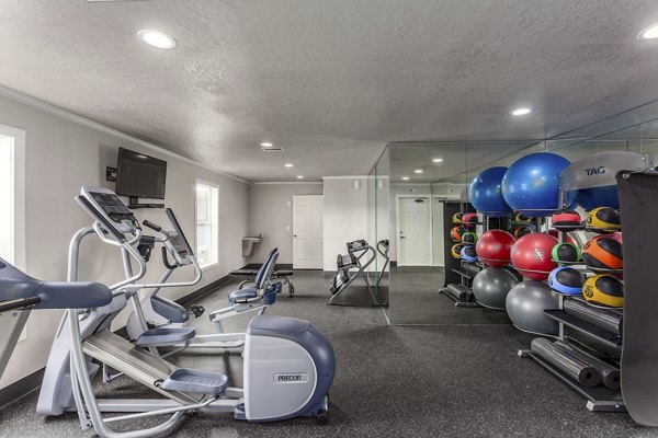 State-of-the-art fitness center with modern equipment at Castilian Apartments