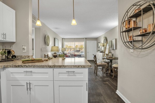 Modern kitchen featuring granite countertops and stainless steel appliances in Castilian Apartments
