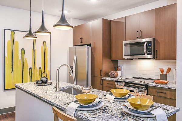 Modern kitchen with stylish cabinetry and stainless steel appliances at Presidium Park Apartments