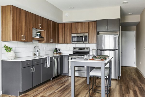 Modern kitchen with stainless steel appliances in The Eddi Apartments, offering luxury living spaces for residents