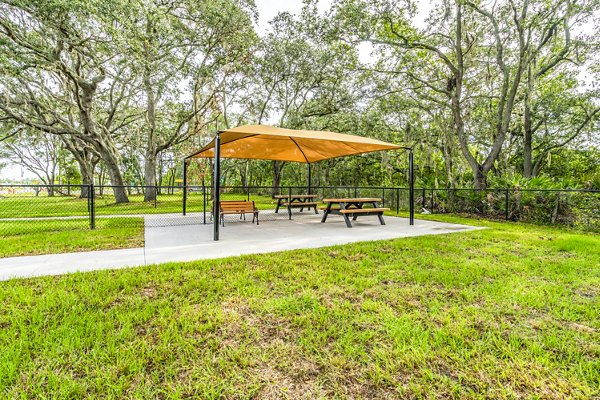 dog park at Balcara 301 at Sun City Apartments