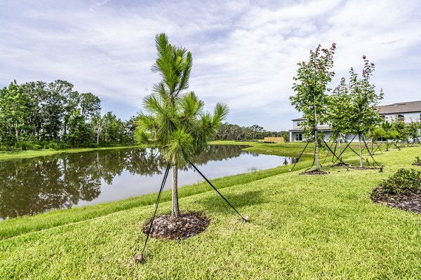 view at Balcara 301 at Sun City Apartments