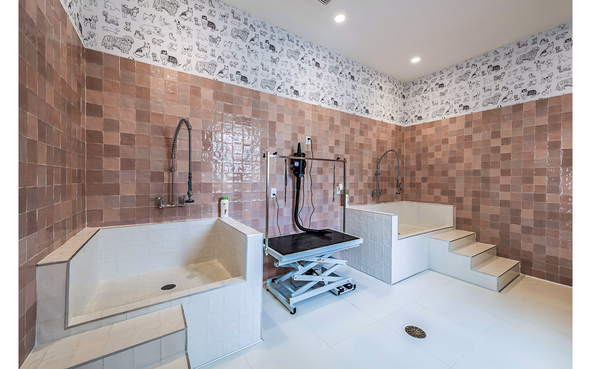 Convenient dog wash station at Presidium Regal Apartments for pet-friendly living
