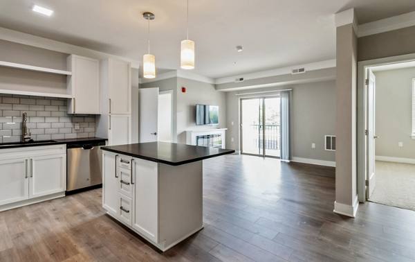 kitchen at The Monarch Apartments