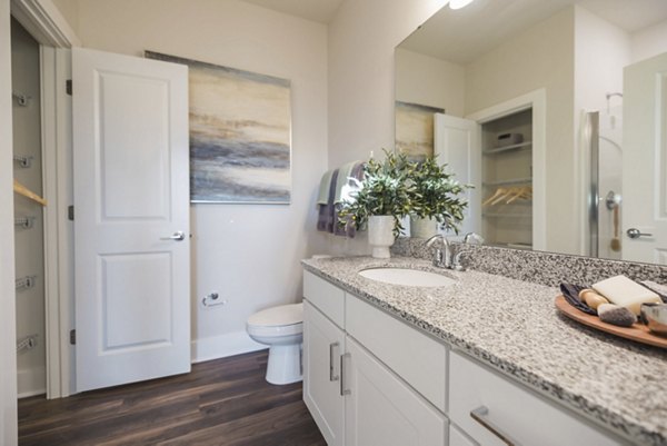 Modern bathroom with large vanity and sleek fixtures at Riverwood Apartments luxury complex
