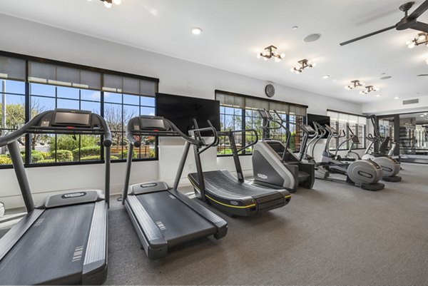 State-of-the-art fitness center with modern equipment at The Griffin Apartments, catering to luxury lifestyles