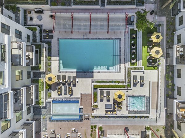 Rooftop infinity pool with lounge chairs at The Griffin Apartments, offering luxury relaxation and skyline views