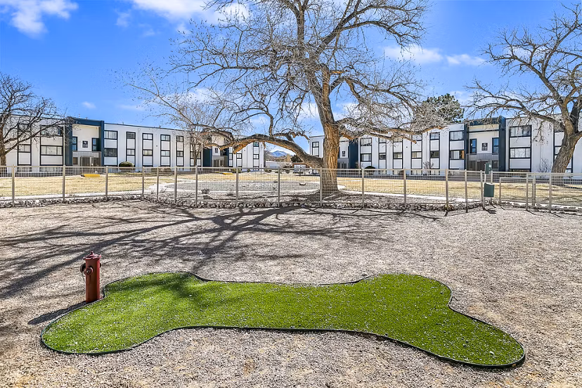 Dog park with agility equipment at Tesota Four Hills Apartments, ideal for pet-friendly living