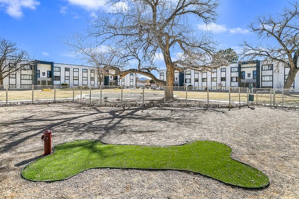 Dog park with agility equipment at Tesota Four Hills Apartments, ideal for pet-friendly living