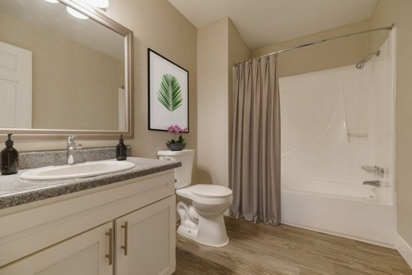 bathroom at Tesota Midtown Apartments
