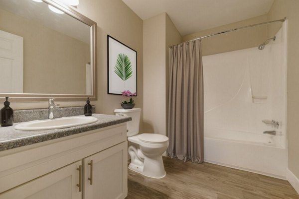 Modern bathroom with sleek fixtures at Tesota Midtown Apartments