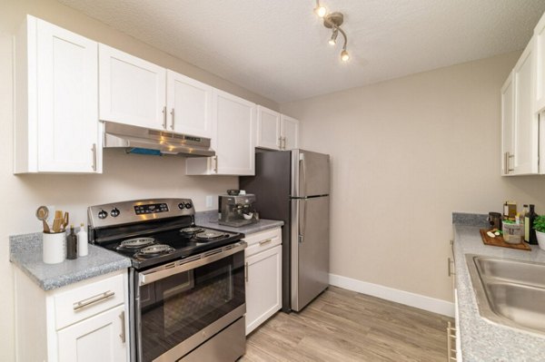 Modern kitchen with stainless steel appliances in Tesota Midtown Apartments