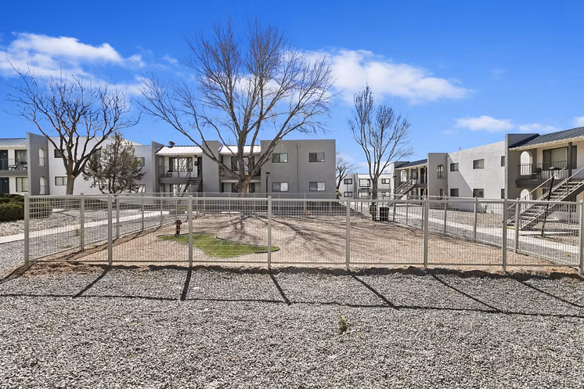 Modern dog park with agility equipment at Tesota Midtown Apartments for luxurious pet-friendly living