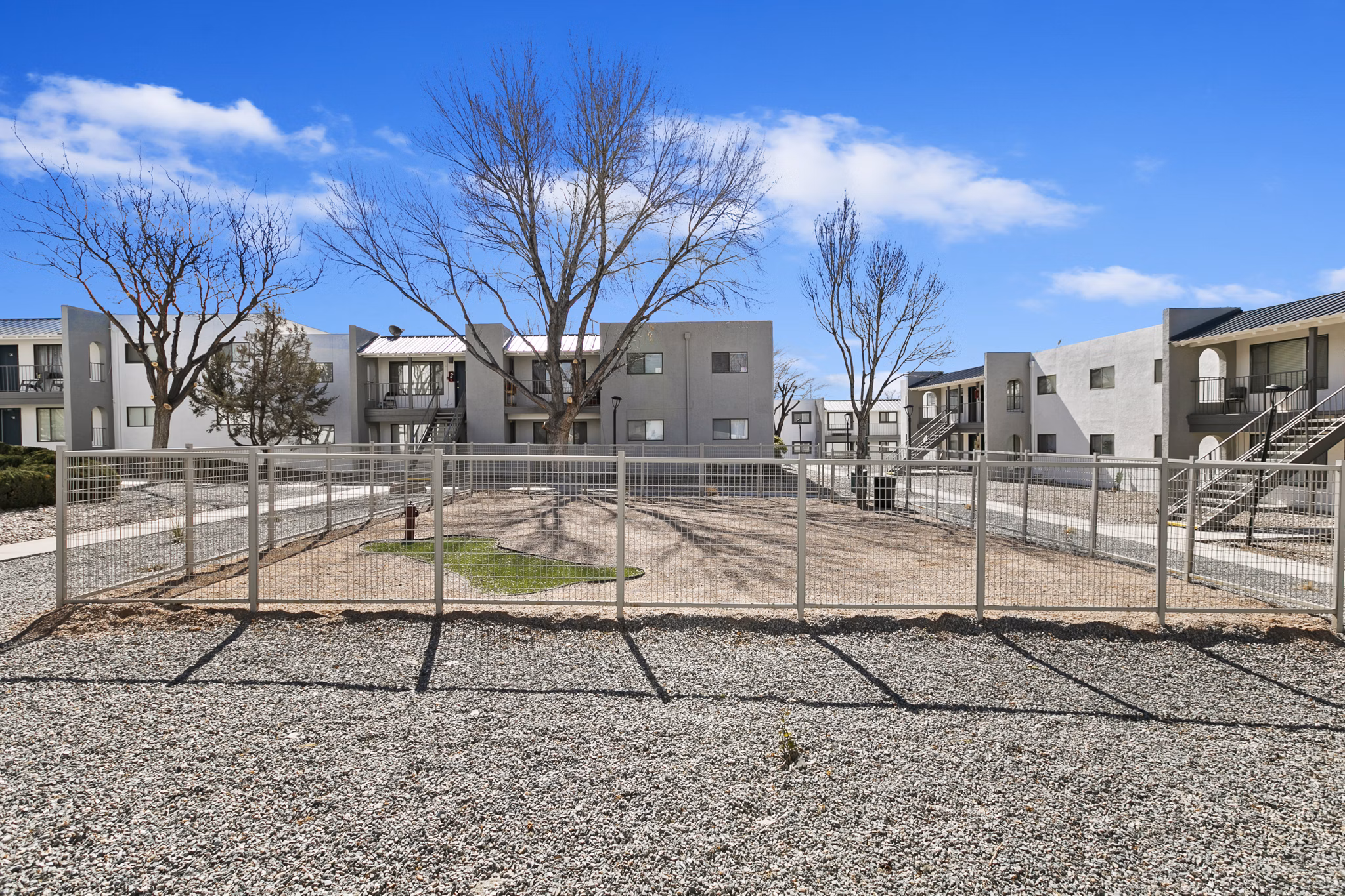 Modern dog park with agility equipment at Tesota Midtown Apartments for luxurious pet-friendly living